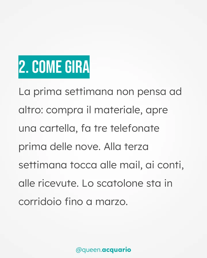 Carosello: come gira un'idea dell'Acquario